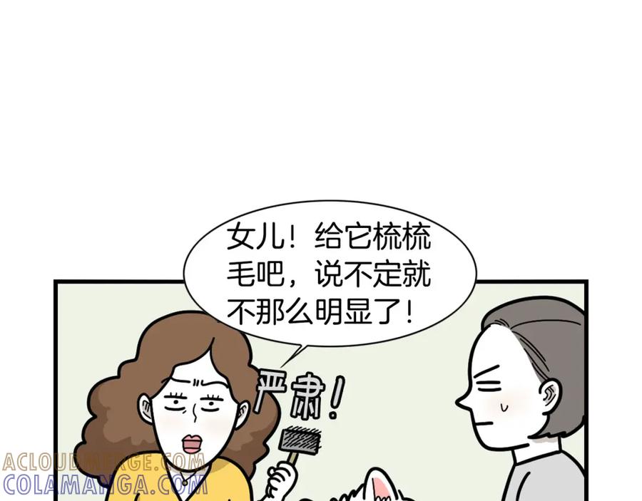 《我的狗子叫棉花》第29话 猴子期的狗很丑？ 第13页