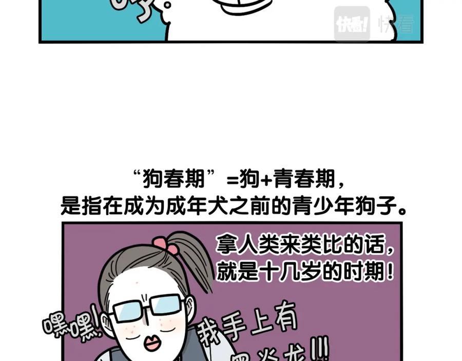 《我的狗子叫棉花》第29话 猴子期的狗很丑？ 第30页