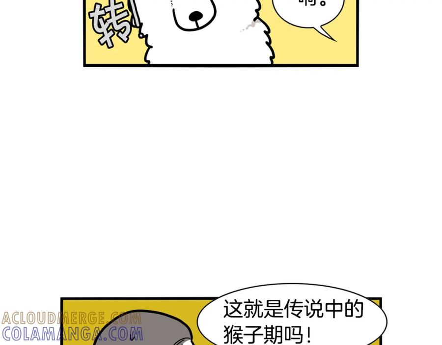 《我的狗子叫棉花》第29话 猴子期的狗很丑？ 第7页