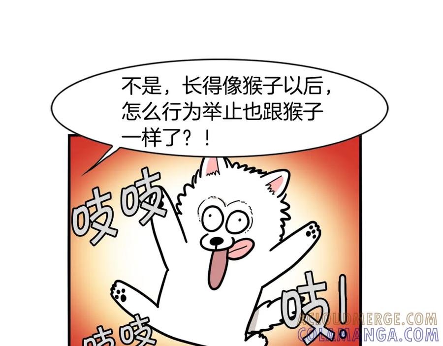 《我的狗子叫棉花》第29话 猴子期的狗很丑？ 第19页
