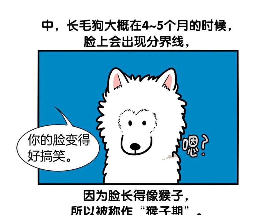 《我的狗子叫棉花》第29话 猴子期的狗很丑？ 第9页