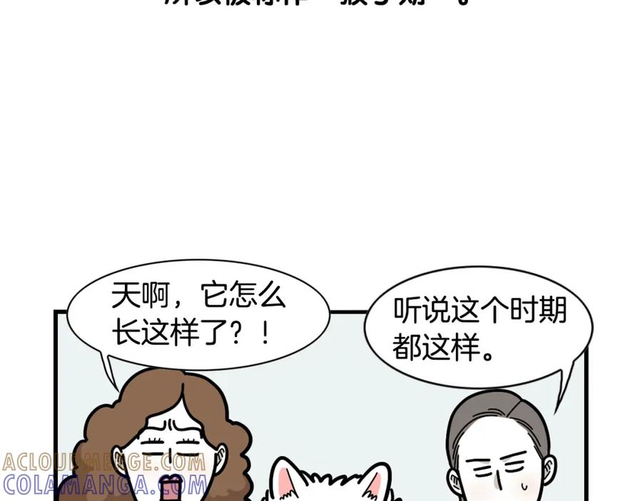 《我的狗子叫棉花》第29话 猴子期的狗很丑？ 第10页
