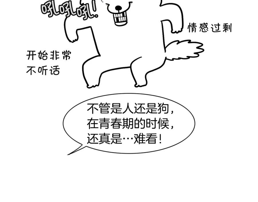 《我的狗子叫棉花》第29话 猴子期的狗很丑？ 第33页