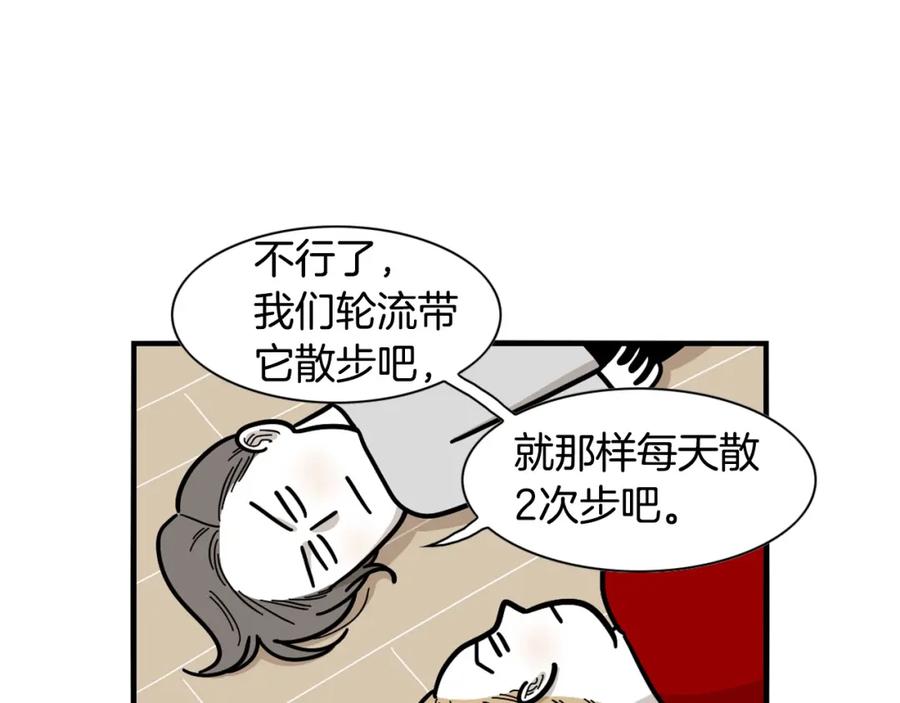 《我的狗子叫棉花》第29话 猴子期的狗很丑？ 第62页