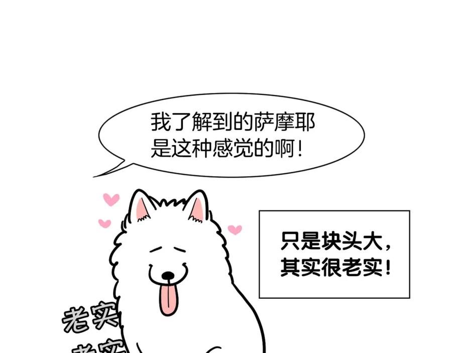 《我的狗子叫棉花》第29话 猴子期的狗很丑？ 第44页