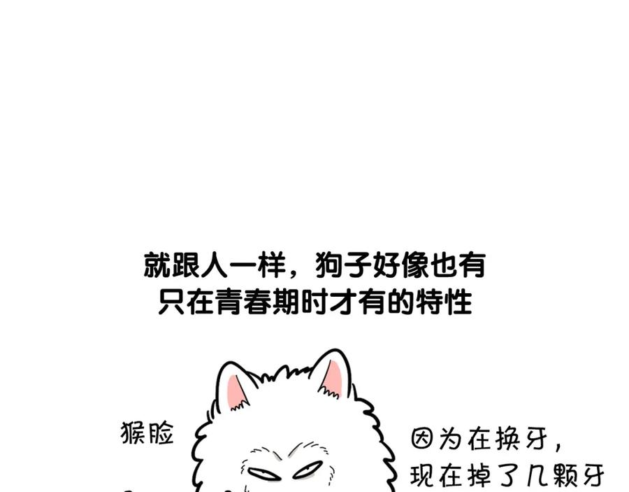 《我的狗子叫棉花》第29话 猴子期的狗很丑？ 第32页