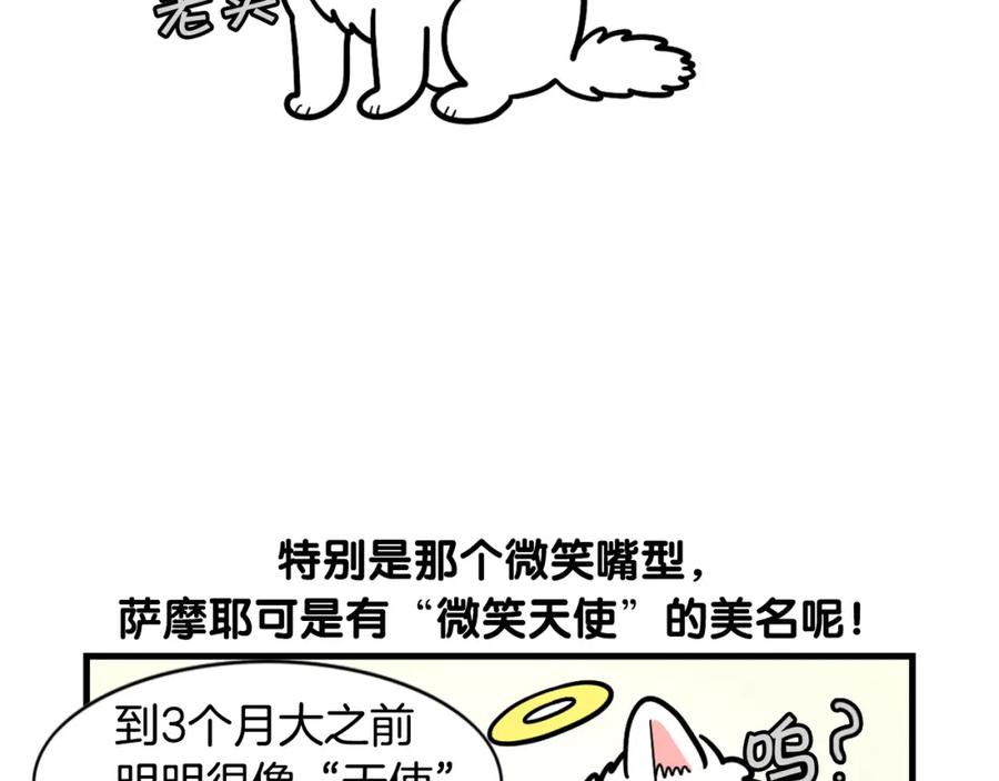 《我的狗子叫棉花》第29话 猴子期的狗很丑？ 第45页