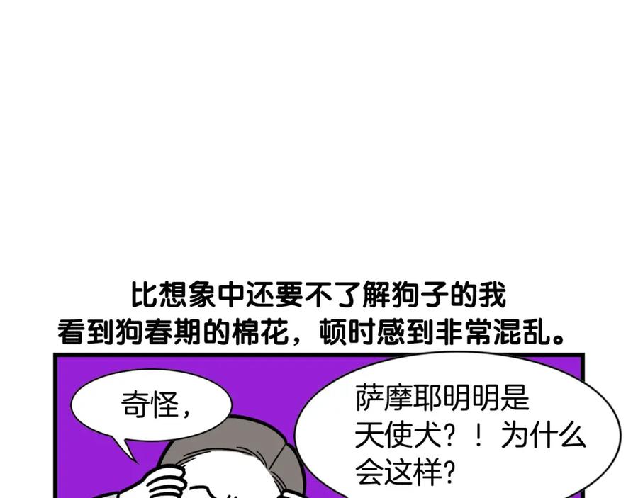《我的狗子叫棉花》第29话 猴子期的狗很丑？ 第42页