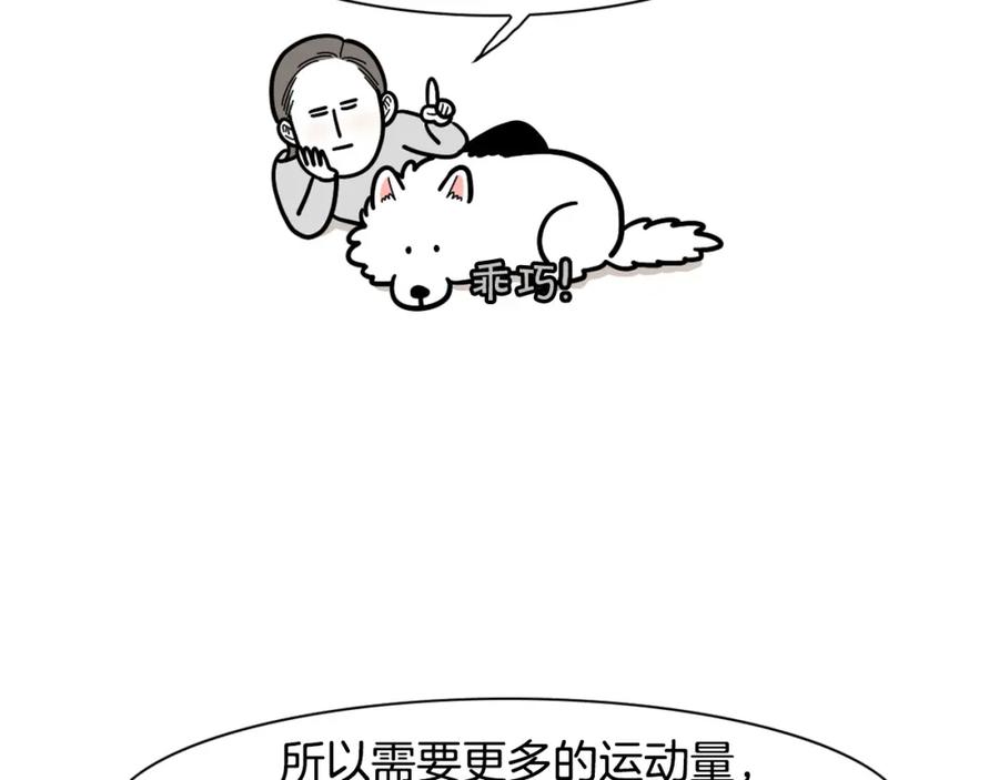 《我的狗子叫棉花》第29话 猴子期的狗很丑？ 第51页