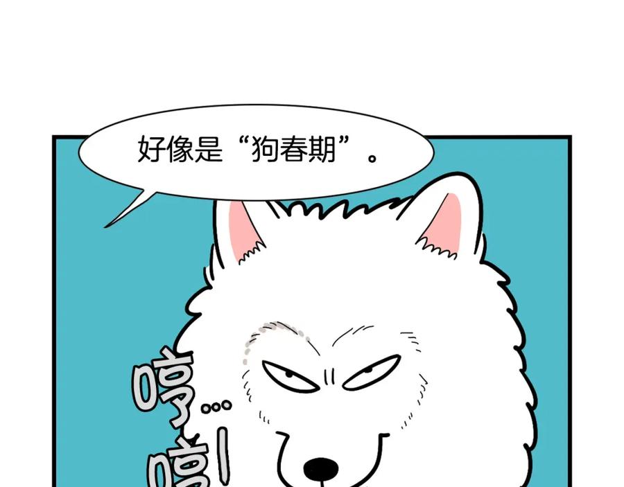 《我的狗子叫棉花》第29话 猴子期的狗很丑？ 第29页