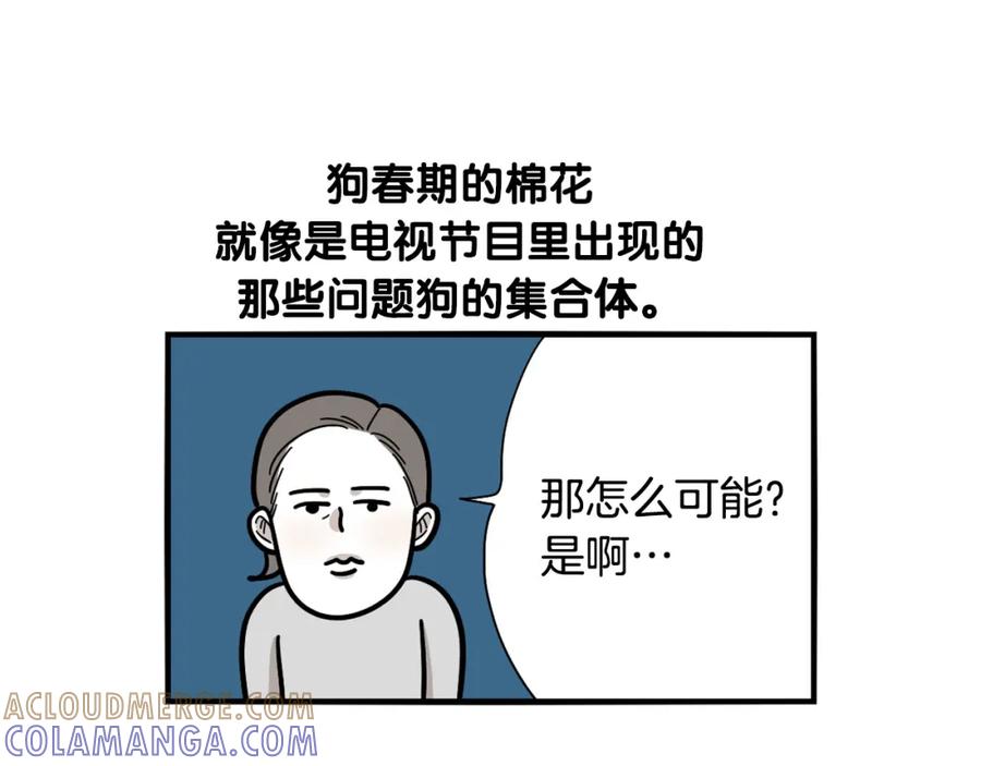《我的狗子叫棉花》第29话 猴子期的狗很丑？ 第37页