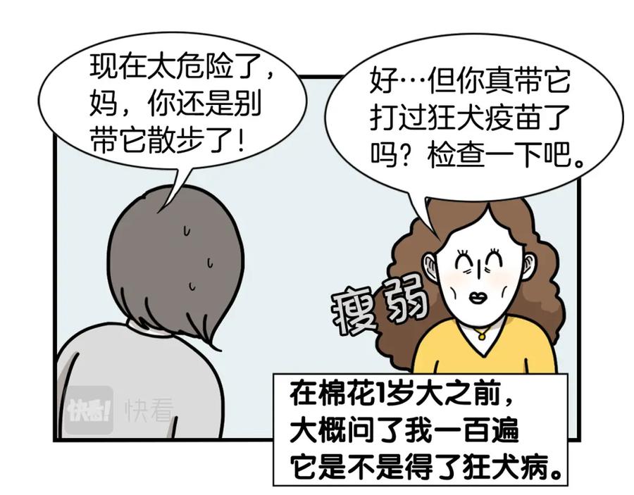 《我的狗子叫棉花》第29话 猴子期的狗很丑？ 第78页