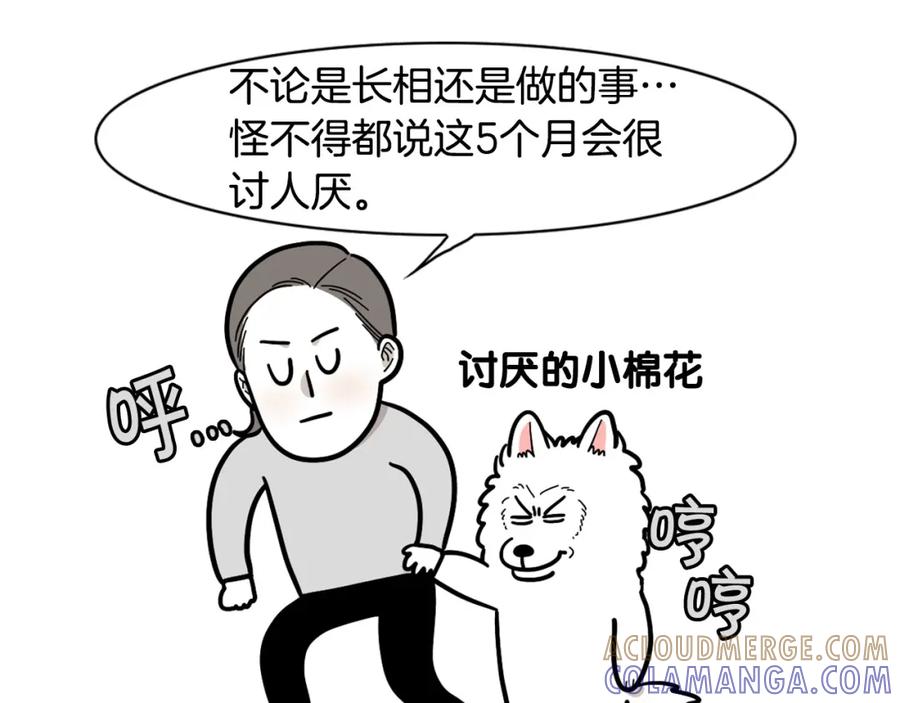 《我的狗子叫棉花》第29话 猴子期的狗很丑？ 第34页