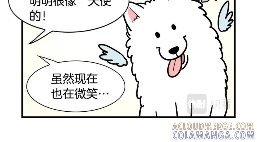《我的狗子叫棉花》第29话 猴子期的狗很丑？ 第46页