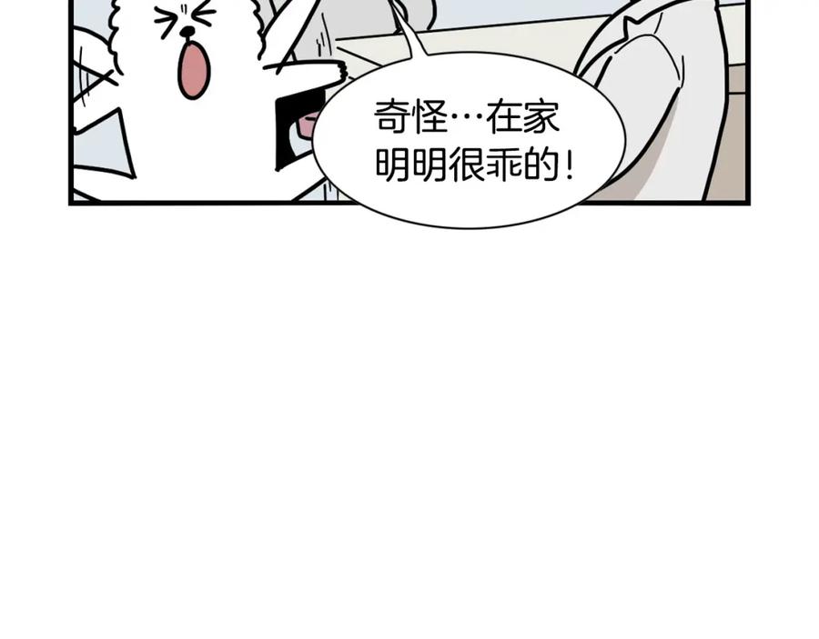 《我的狗子叫棉花》第30话 咬鞋狂魔 第80页