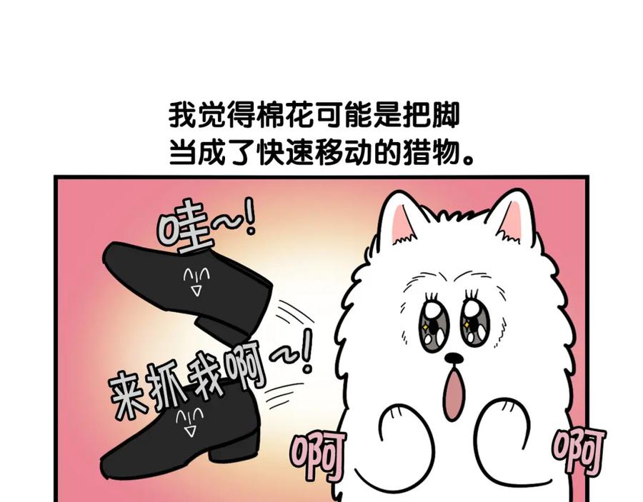 《我的狗子叫棉花》第30话 咬鞋狂魔 第15页