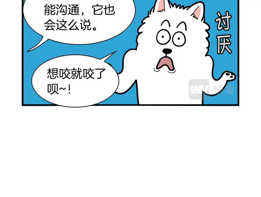 《我的狗子叫棉花》第30话 咬鞋狂魔 第14页