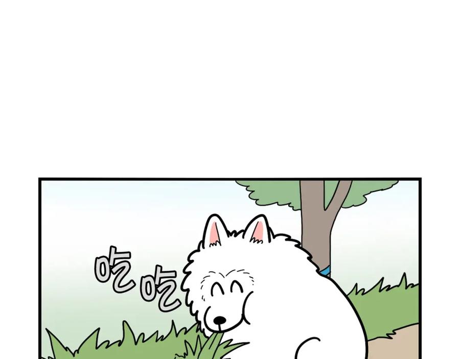 《我的狗子叫棉花》第30话 咬鞋狂魔 第32页