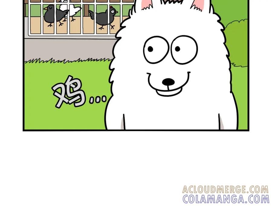 《我的狗子叫棉花》第31话 养鸡之旅 第16页