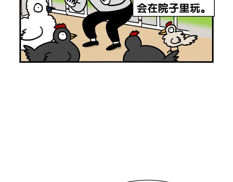 《我的狗子叫棉花》第31话 养鸡之旅 第32页