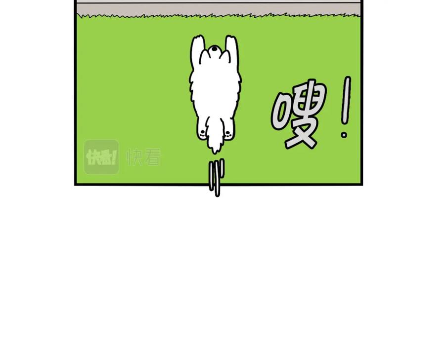 《我的狗子叫棉花》第31话 养鸡之旅 第81页