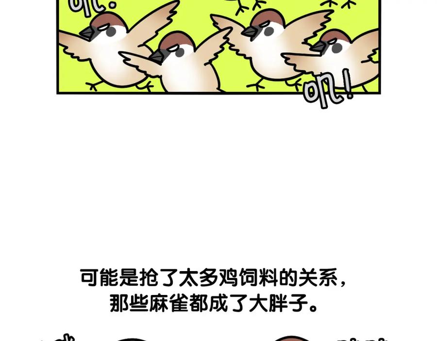 《我的狗子叫棉花》第31话 养鸡之旅 第86页