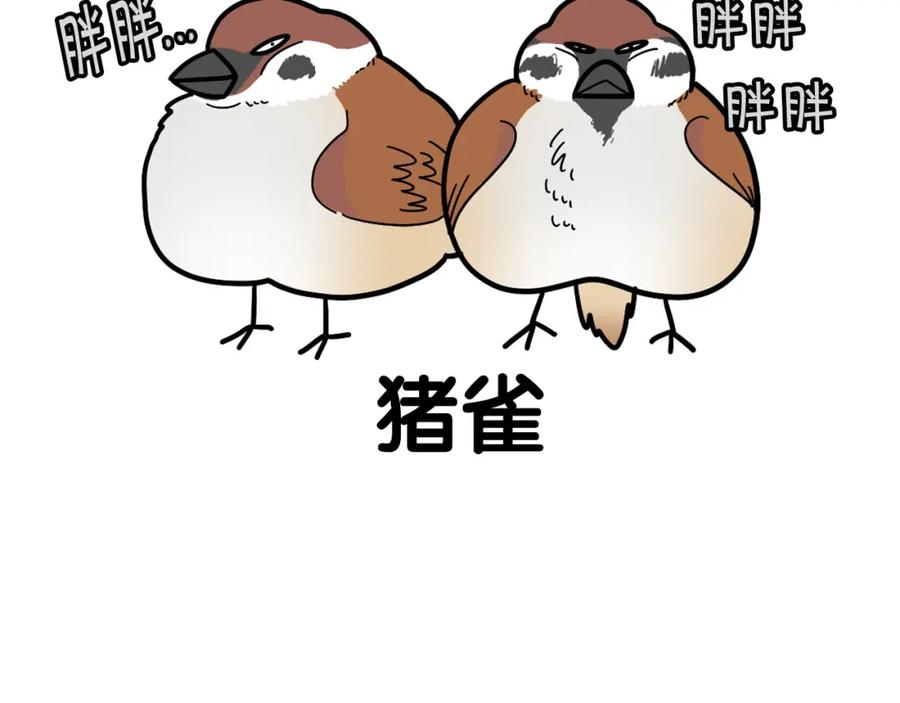 《我的狗子叫棉花》第31话 养鸡之旅 第87页