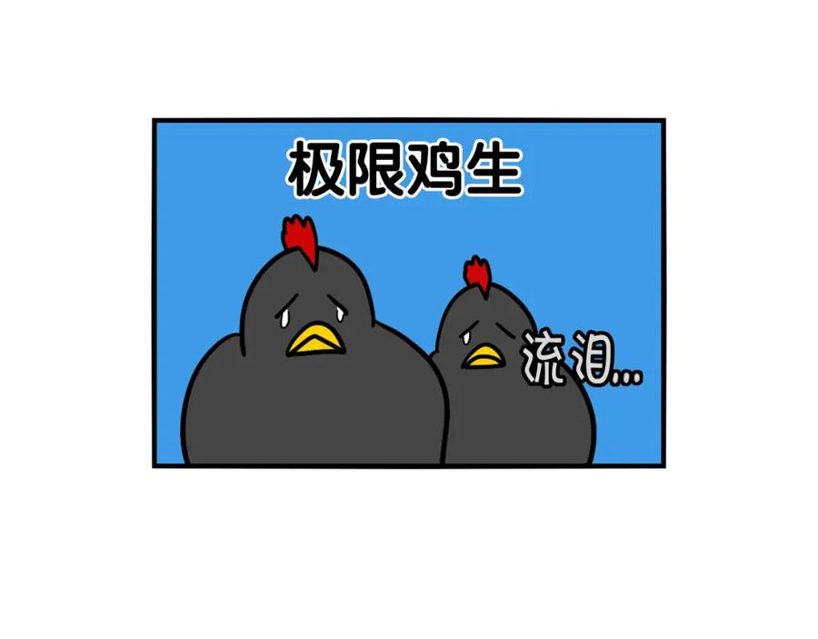 《我的狗子叫棉花》第31话 养鸡之旅 第96页