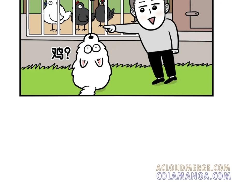《我的狗子叫棉花》第31话 养鸡之旅 第10页