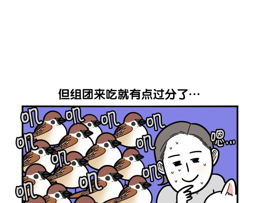 《我的狗子叫棉花》第31话 养鸡之旅 第75页