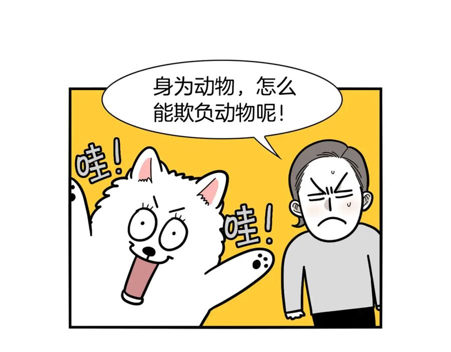 《我的狗子叫棉花》第31话 养鸡之旅 第26页
