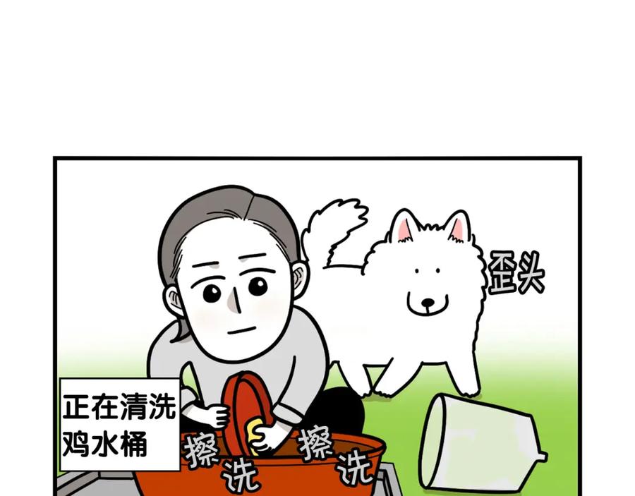 《我的狗子叫棉花》第31话 养鸡之旅 第60页