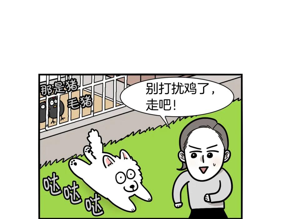 《我的狗子叫棉花》第31话 养鸡之旅 第14页