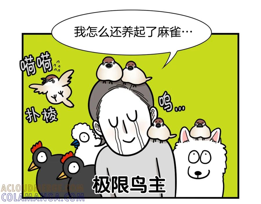 《我的狗子叫棉花》第31话 养鸡之旅 第88页