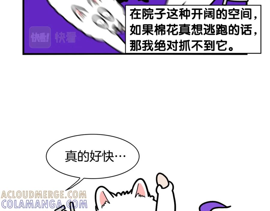 《我的狗子叫棉花》第31话 养鸡之旅 第46页