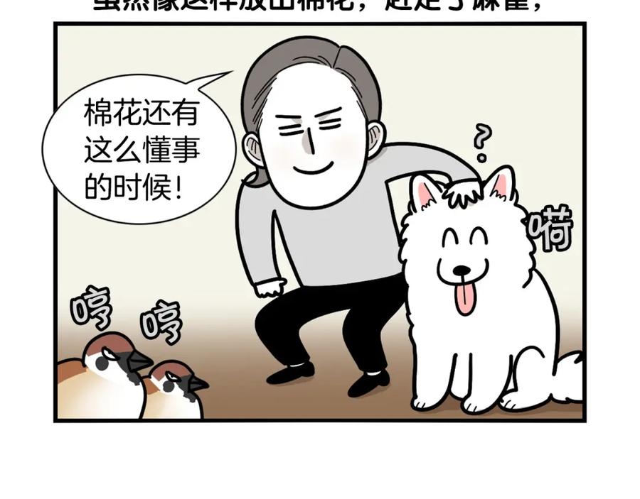 《我的狗子叫棉花》第31话 养鸡之旅 第84页