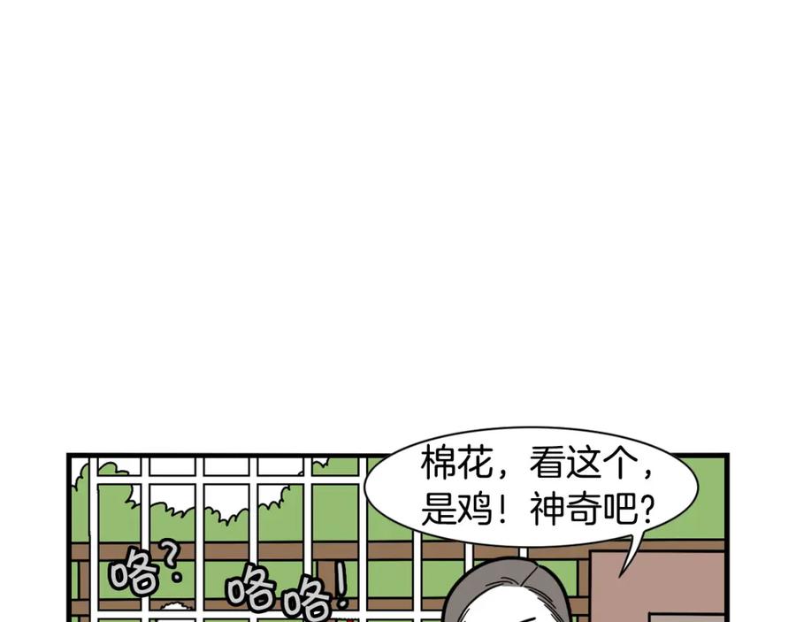 《我的狗子叫棉花》第31话 养鸡之旅 第9页