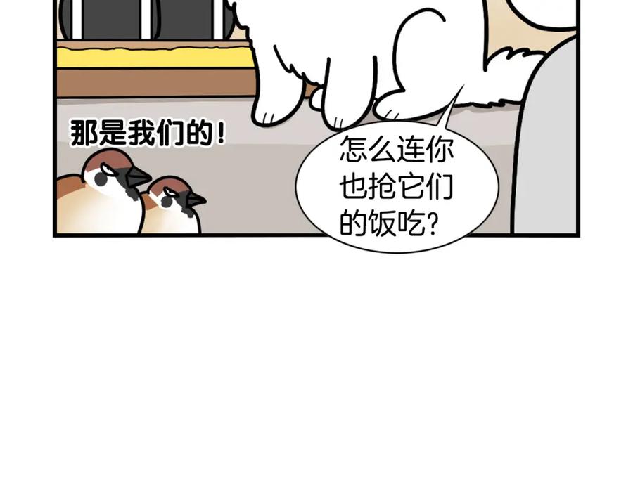 《我的狗子叫棉花》第31话 养鸡之旅 第95页