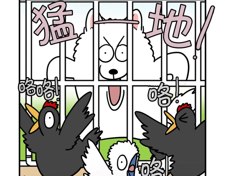《我的狗子叫棉花》第31话 养鸡之旅 第20页