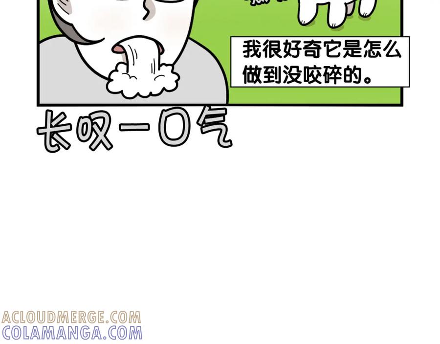 《我的狗子叫棉花》第31话 养鸡之旅 第49页