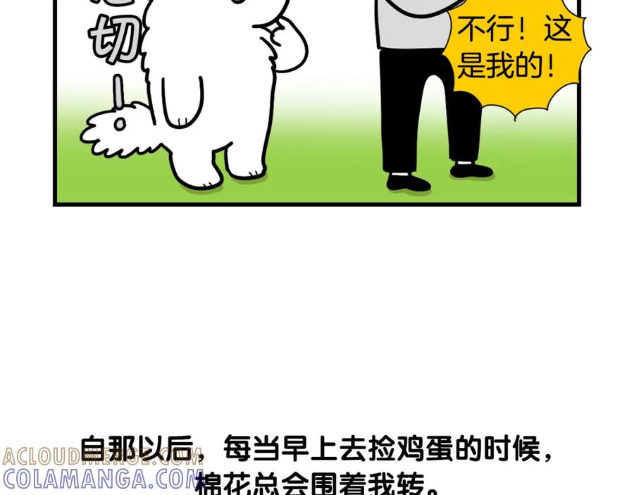 《我的狗子叫棉花》第31话 养鸡之旅 第55页