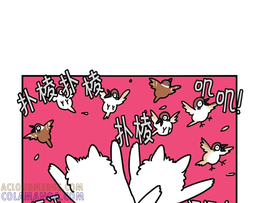 《我的狗子叫棉花》第31话 养鸡之旅 第82页
