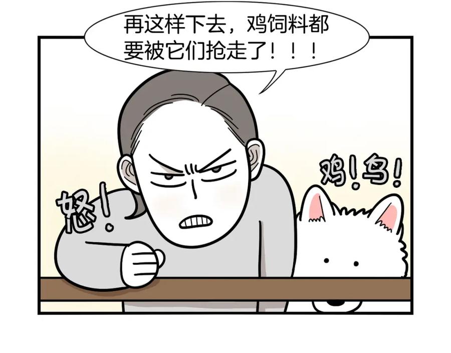 《我的狗子叫棉花》第31话 养鸡之旅 第77页