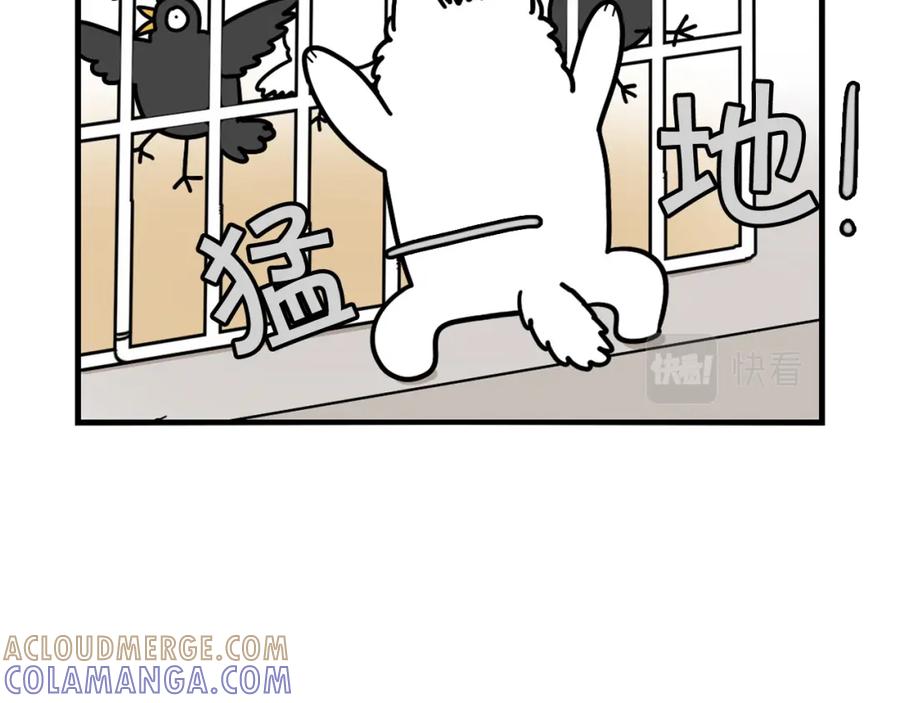 《我的狗子叫棉花》第31话 养鸡之旅 第25页