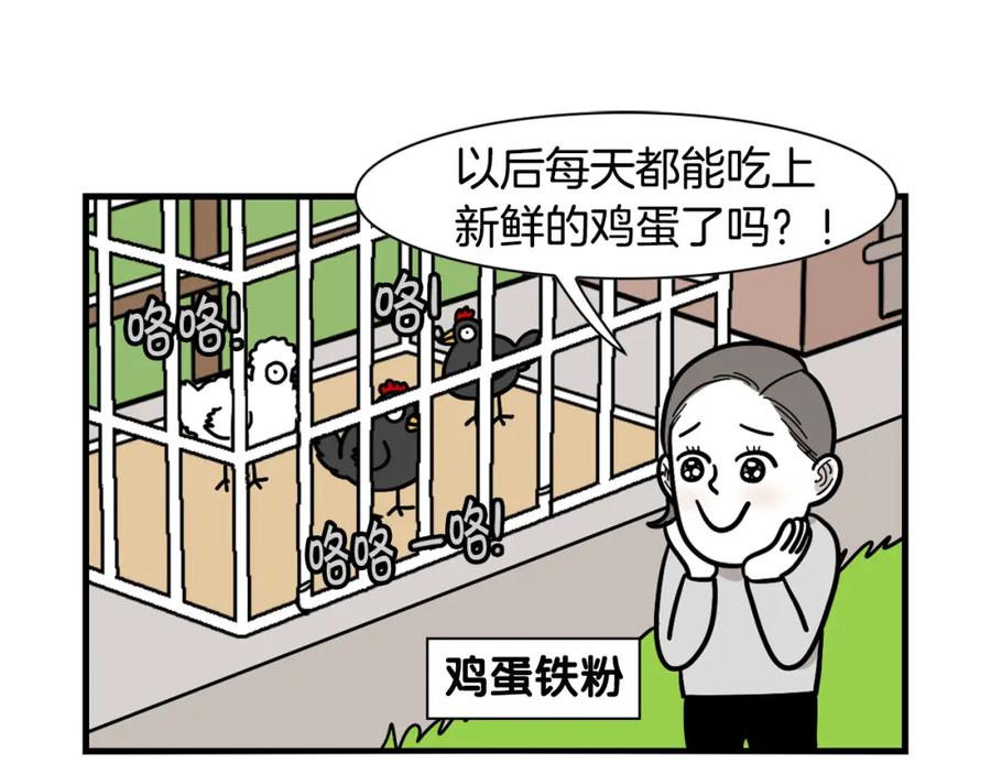 《我的狗子叫棉花》第31话 养鸡之旅 第8页