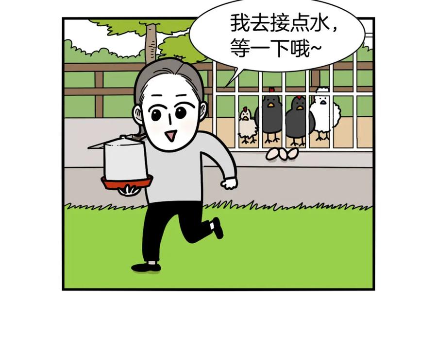 《我的狗子叫棉花》第31话 养鸡之旅 第33页