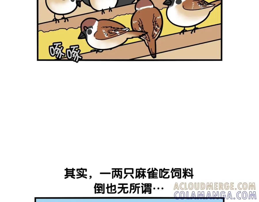 《我的狗子叫棉花》第31话 养鸡之旅 第73页