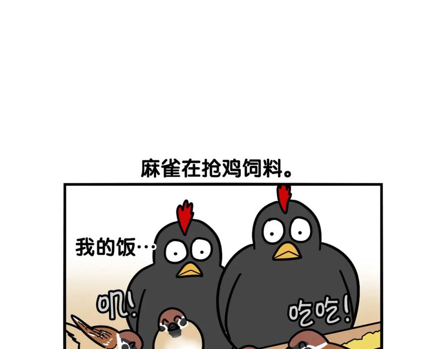 《我的狗子叫棉花》第31话 养鸡之旅 第72页