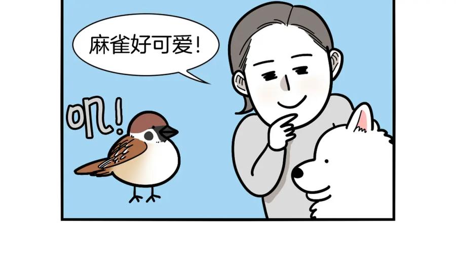 《我的狗子叫棉花》第31话 养鸡之旅 第74页