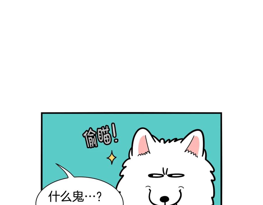 《我的狗子叫棉花》第31话 养鸡之旅 第23页